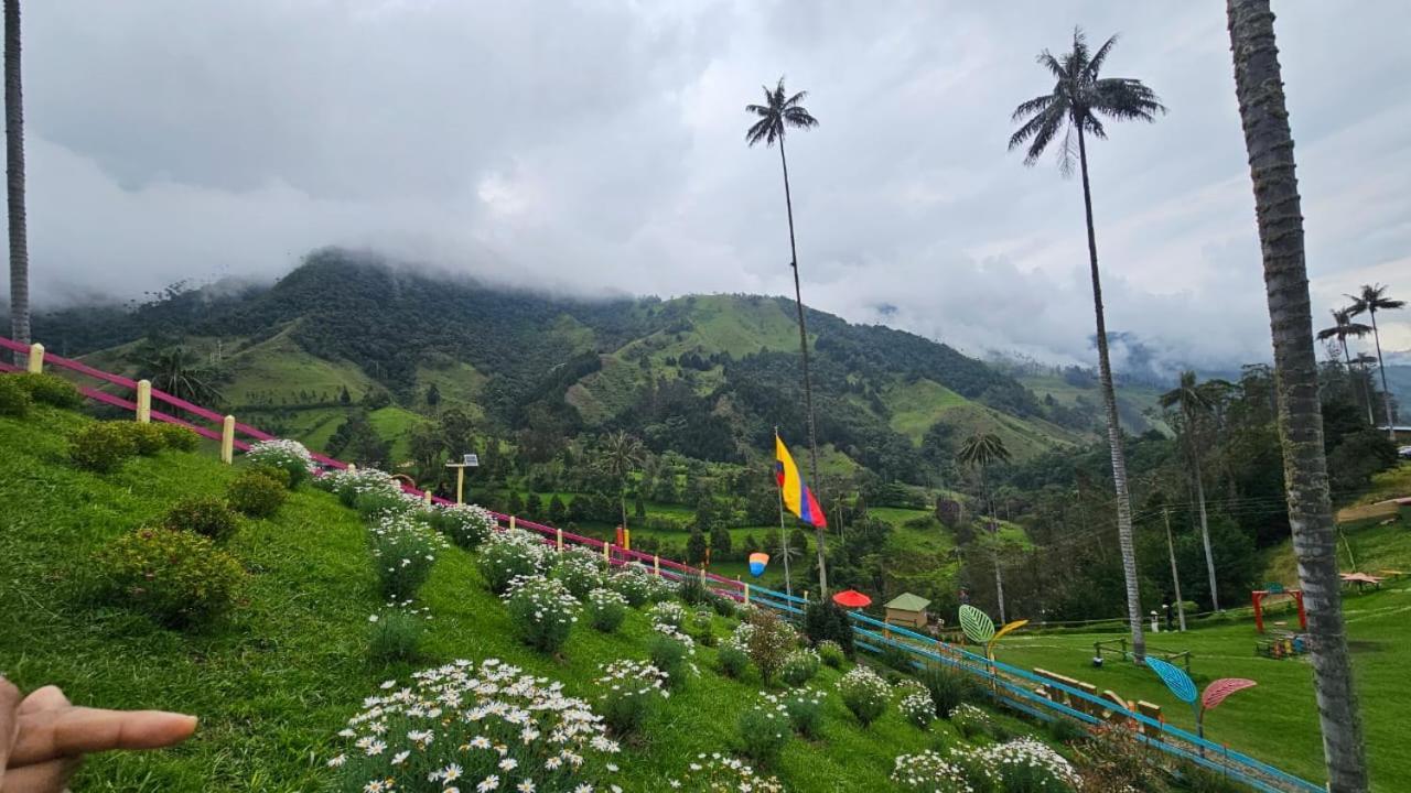 Casa Campo Valle De Cocora Salento Dış mekan fotoğraf